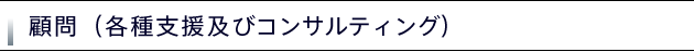 顧問(各種支援及びコンサルティング)